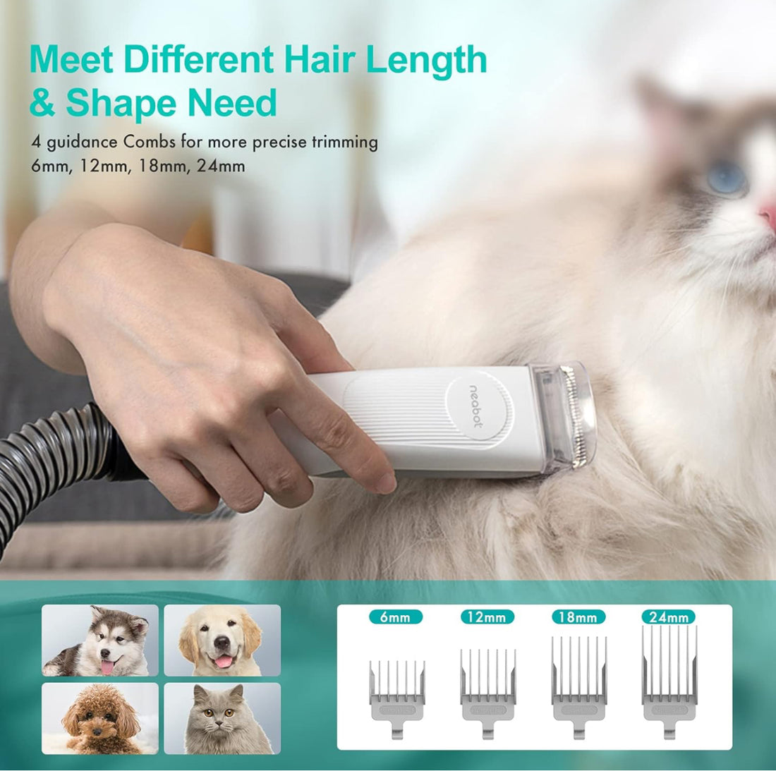 Beauty Pet Multifunctional Suction Groomer google amazon viral dogs kitten animals clean 